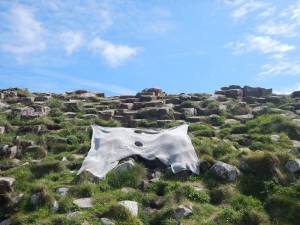 Ireland: 22nd - 25th May 2015