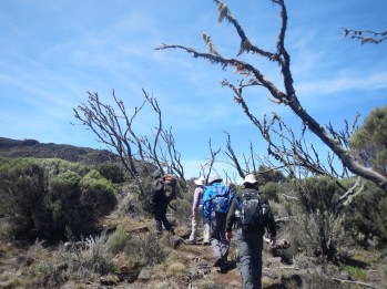 The daily changing landscape of Kilimanjaro