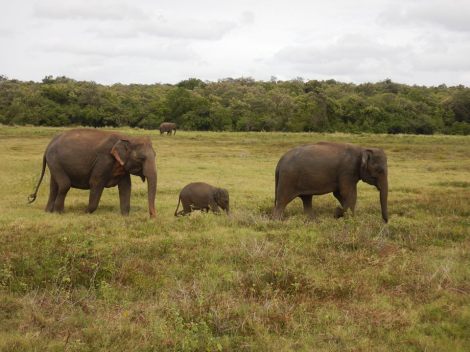 23376641_10211799373632792_8582686833801860142_n